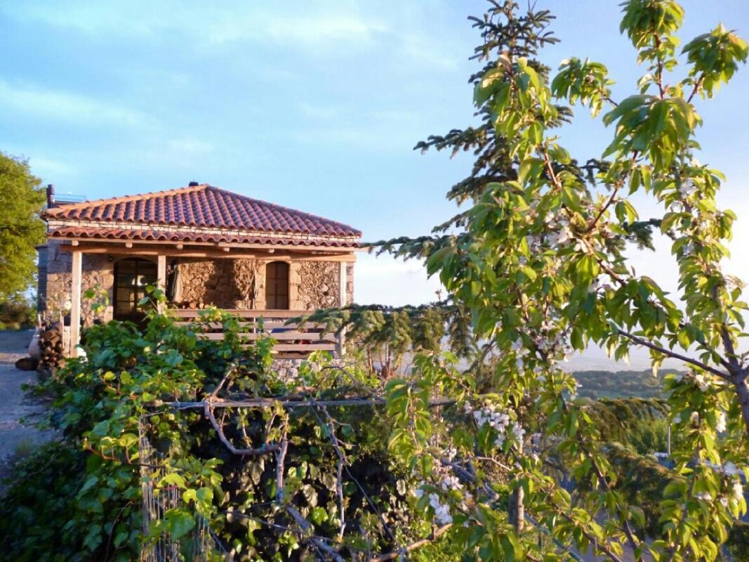 The Artist's House בקתה *