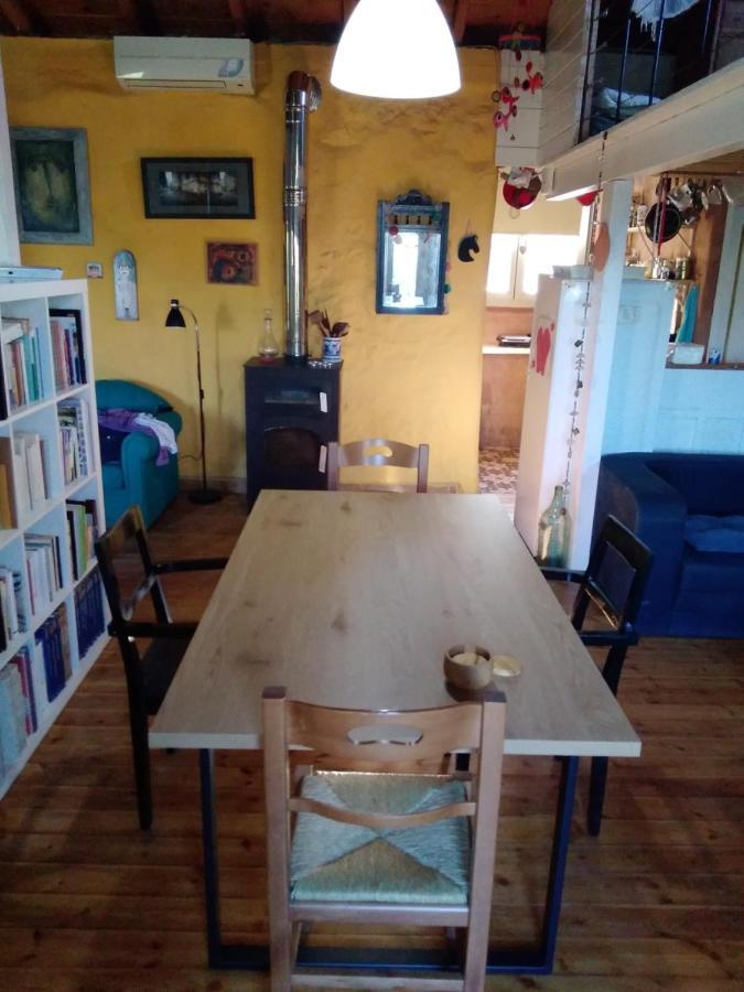 The Artist's House Dağ evi Psárion