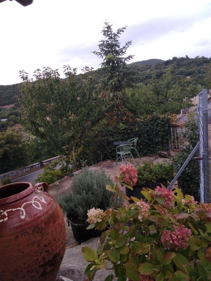 The Artist's House *