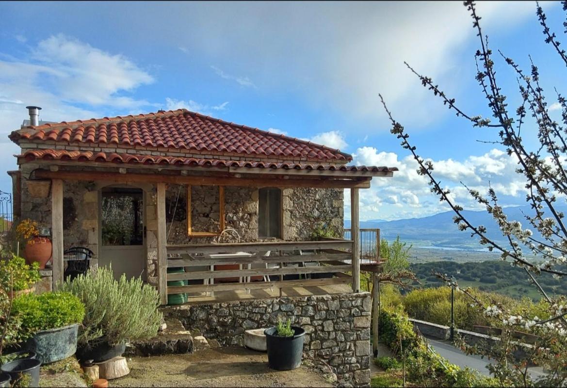 The Artist's House *